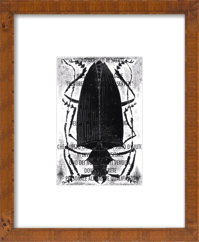 Black Beetle on Words by Tennopent Sooster for Artfully Walls