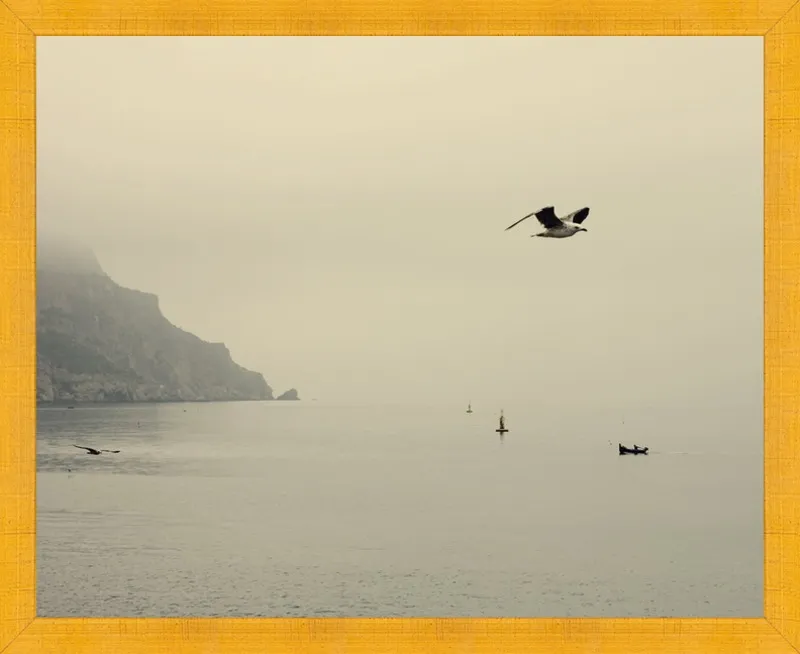 one day I will fly away by Ingrid Beddoes for Artfully Walls
