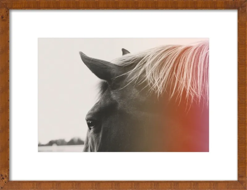 Pink Pony by Alicia Bock for Artfully Walls