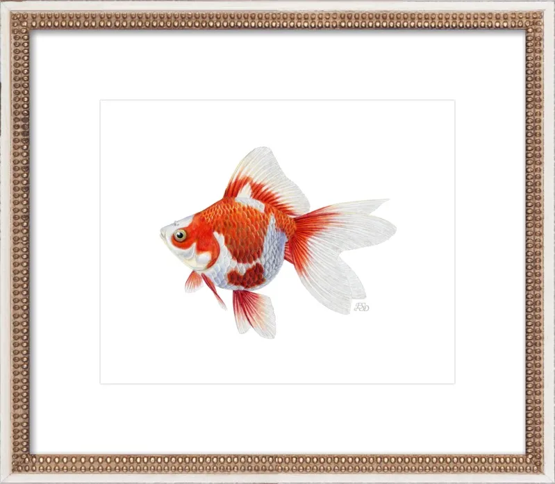 Japanese ryukin goldfish by Emily S. Damstra for Artfully Walls