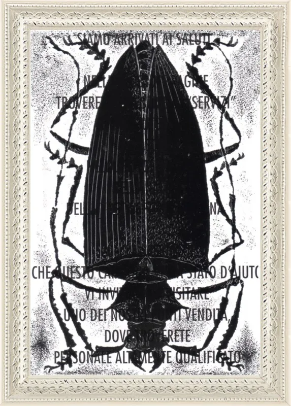 Black Beetle on Words by Tennopent Sooster for Artfully Walls