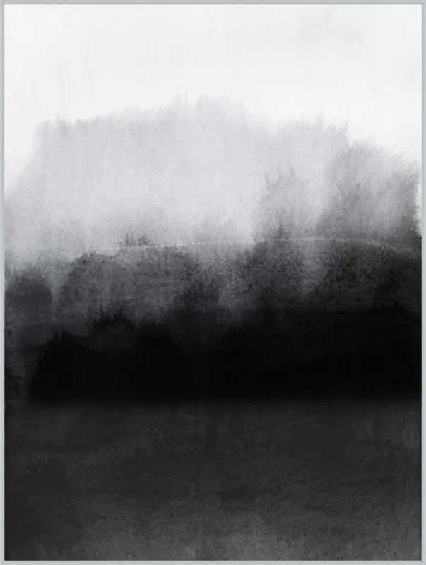greyscale landscape by Iris Lehnhardt for Artfully Walls