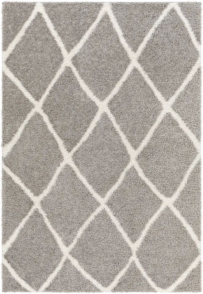 Cloudy Shag Gray Indoor 5'3" x 7' Machine Woven Rug