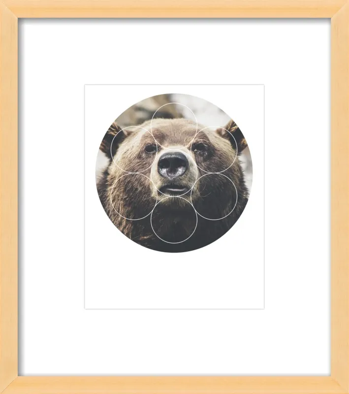 Big Bear Buddy - Geometric Photography by Emiliano Deificus for Artfully Walls
