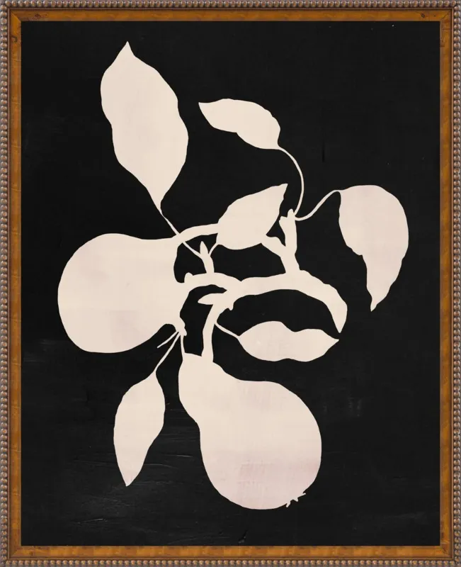 pears black and white by Ruti Shaashua for Artfully Walls