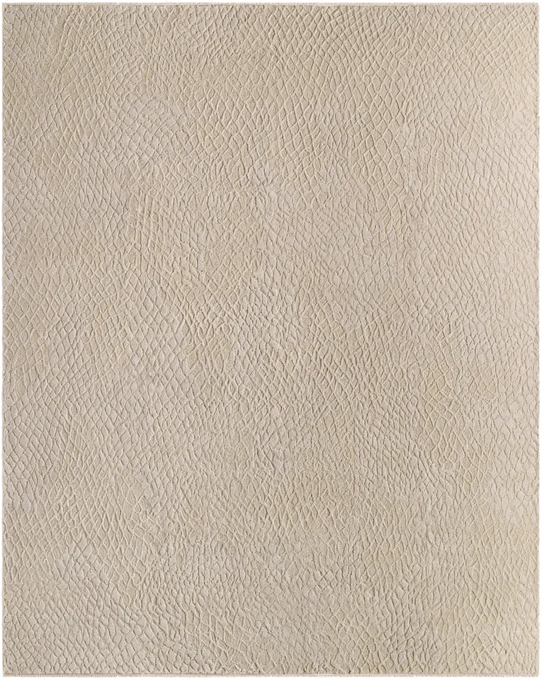 Reyyan Beige Indoor 10' x 14' Handmade Rug