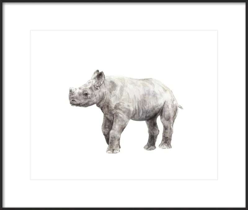 Baby Rhino Watercolor by Lauren Rogoff for Artfully Walls