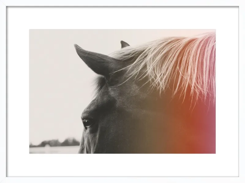 Pink Pony by Alicia Bock for Artfully Walls
