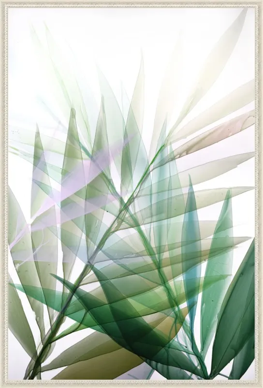 Tropical Study no. 8 by Marina Dunbar  for Artfully Walls