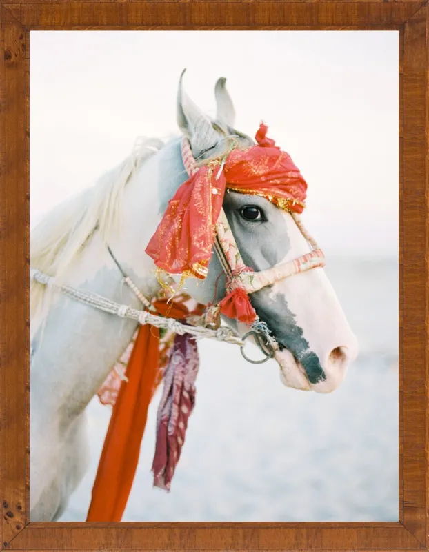 Marwari by Andrew Jacona for Artfully Walls