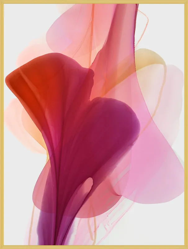 Abstract Flora Bloomlands 33 by Marta Spendowska for Artfully Walls
