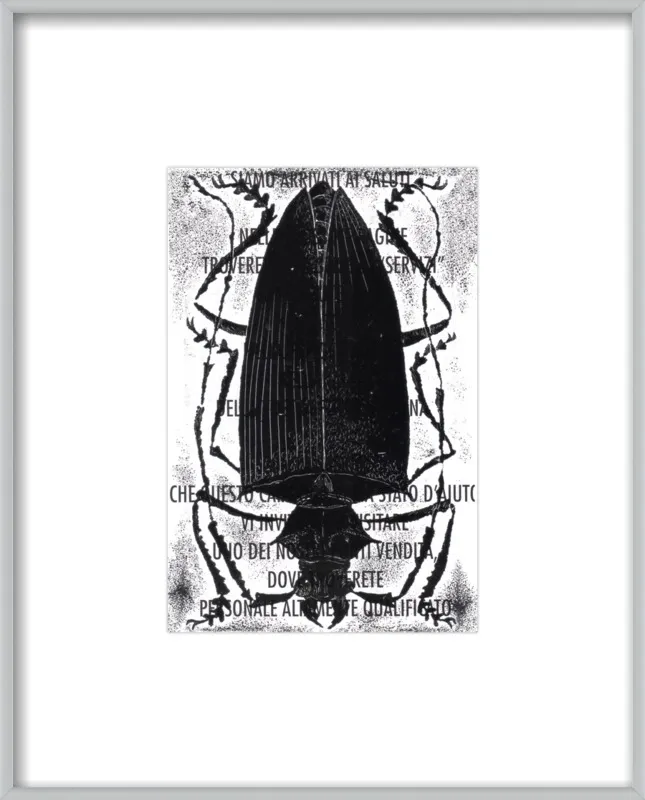 Black Beetle on Words by Tennopent Sooster for Artfully Walls