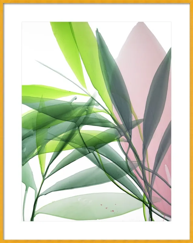 Tropical Study no. 15 by Marina Dunbar  for Artfully Walls
