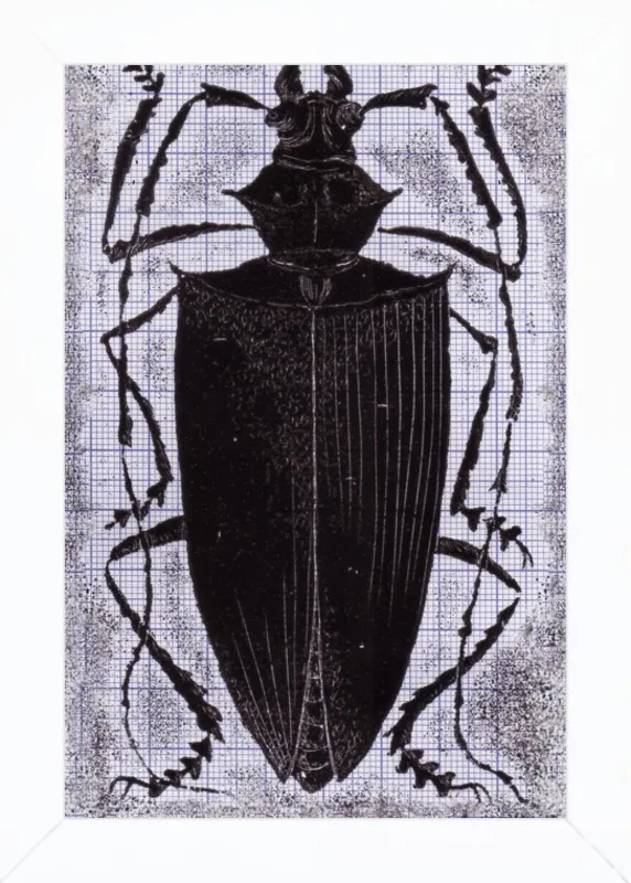 Black Beetle on Grey by Tennopent Sooster for Artfully Walls