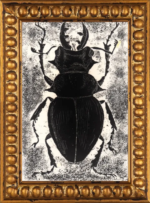 Black Beetle on White by Tennopent Sooster for Artfully Walls