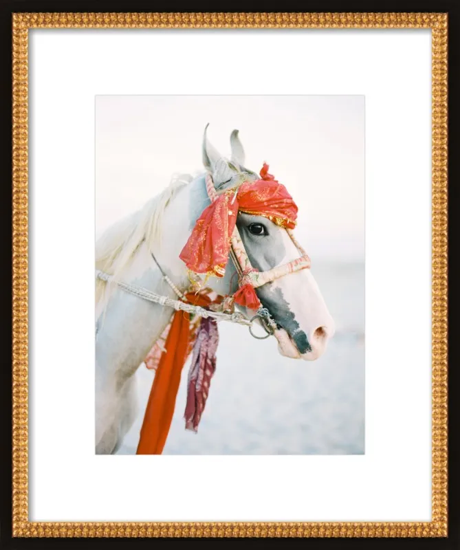 Marwari by Andrew Jacona for Artfully Walls