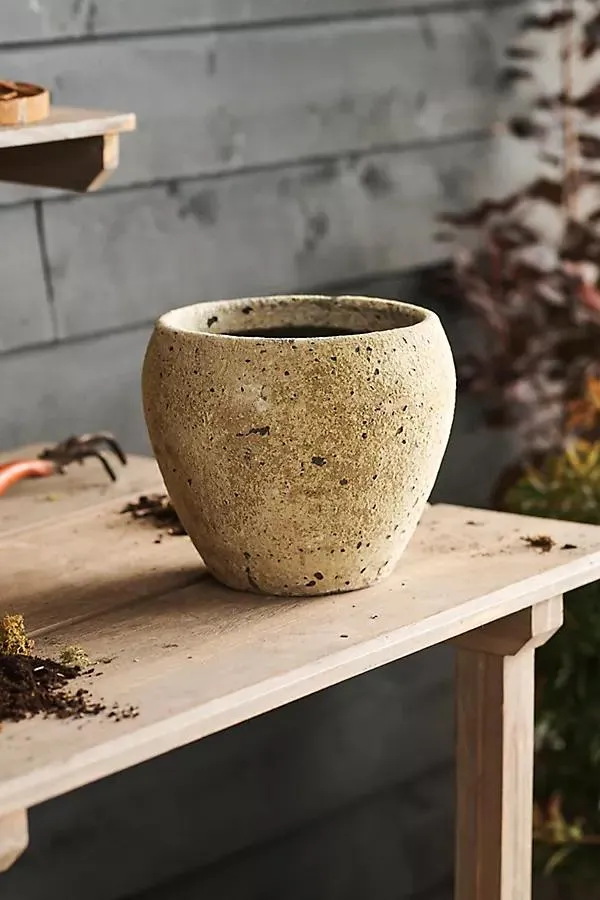 Barnacle Juliet Planter