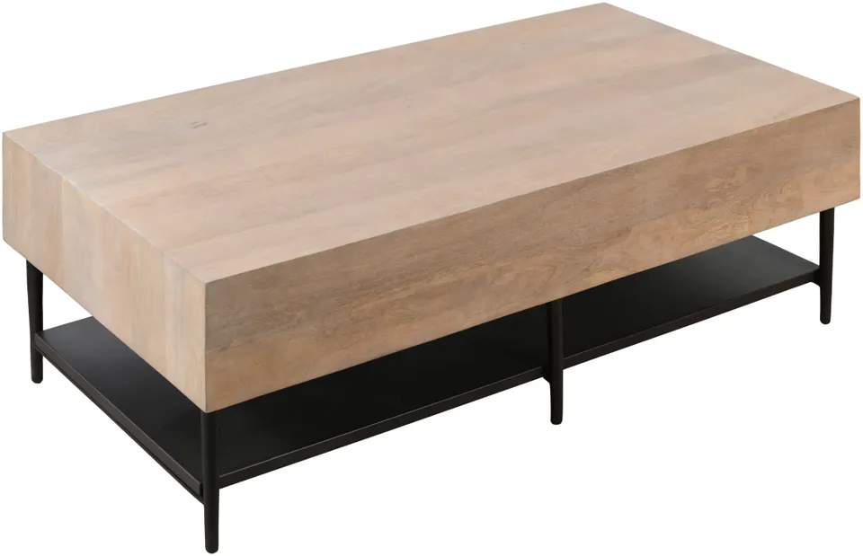 Timo  16"H x 48"W x 24"D Coffee Table