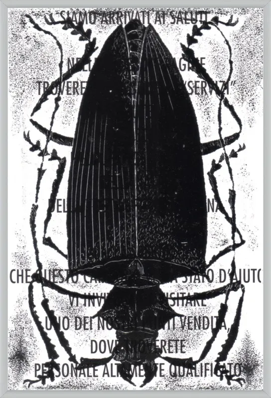 Black Beetle on Words by Tennopent Sooster for Artfully Walls