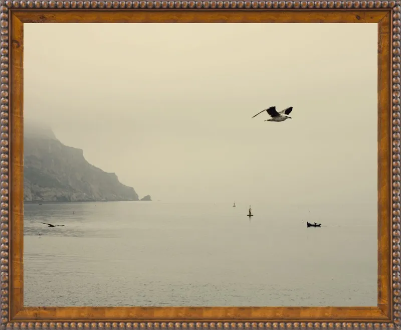 one day I will fly away by Ingrid Beddoes for Artfully Walls