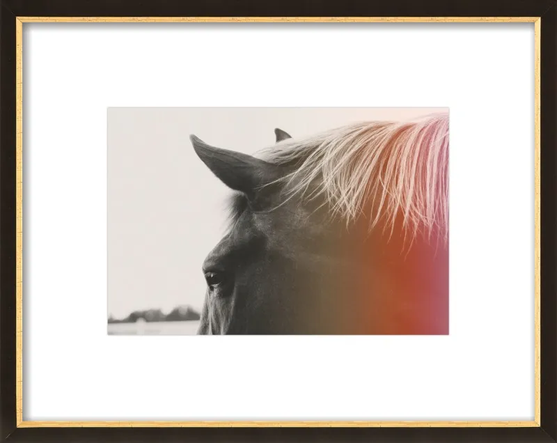 Pink Pony by Alicia Bock for Artfully Walls