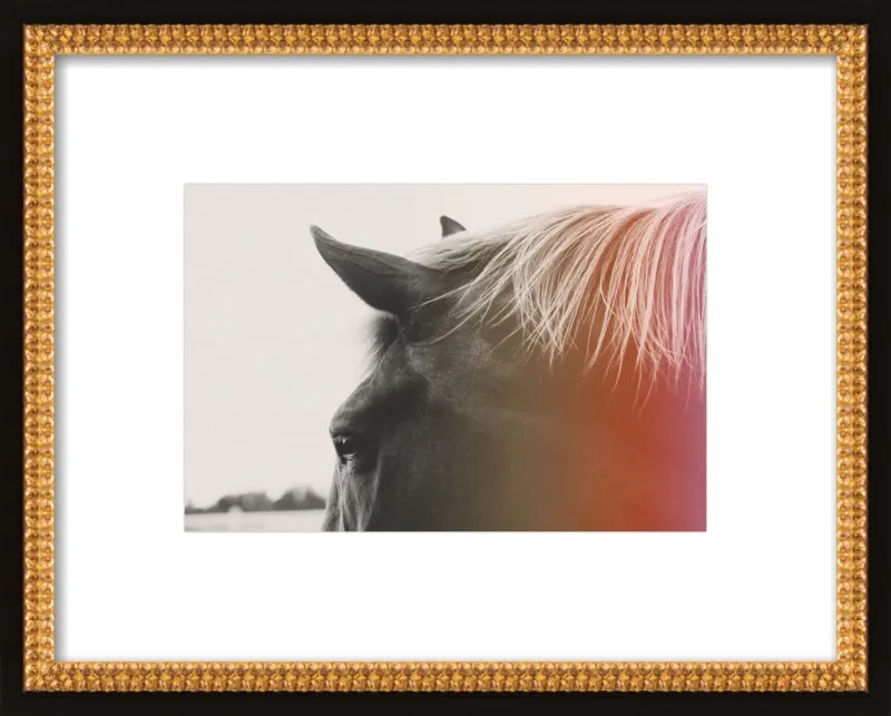 Pink Pony by Alicia Bock for Artfully Walls