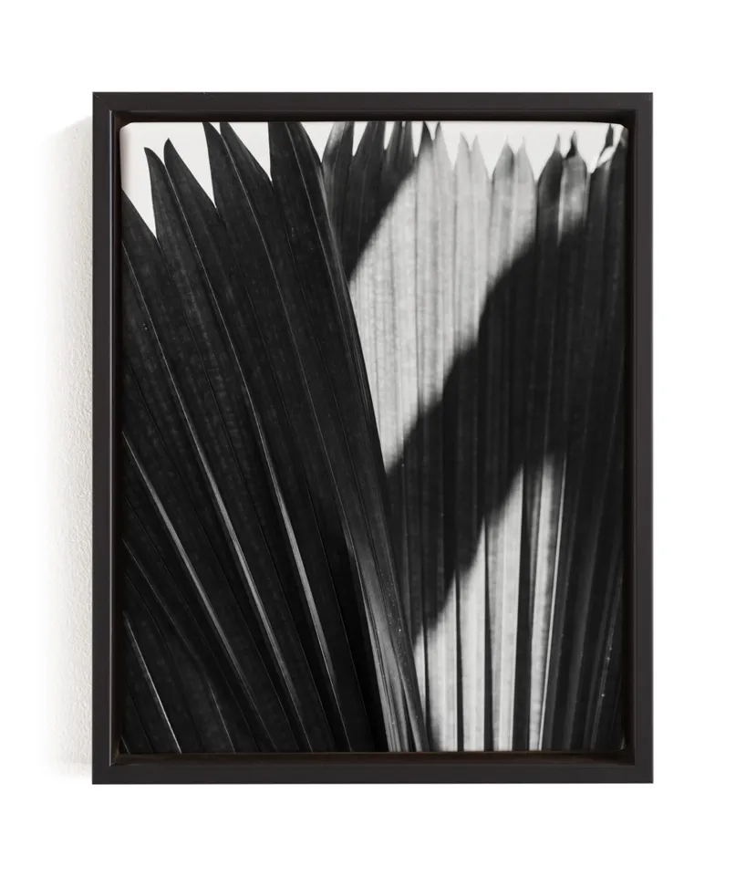 Palmery 2 Limited Edition Fine Art Print