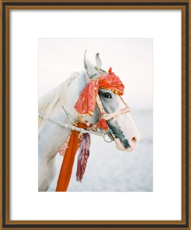 Marwari by Andrew Jacona for Artfully Walls