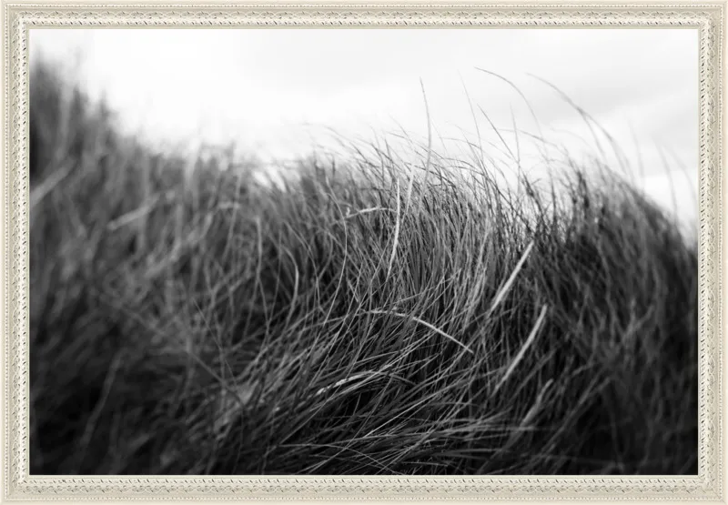 Beach Grass #3 by Alicia Bock for Artfully Walls