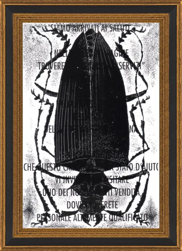 Black Beetle on Words by Tennopent Sooster for Artfully Walls