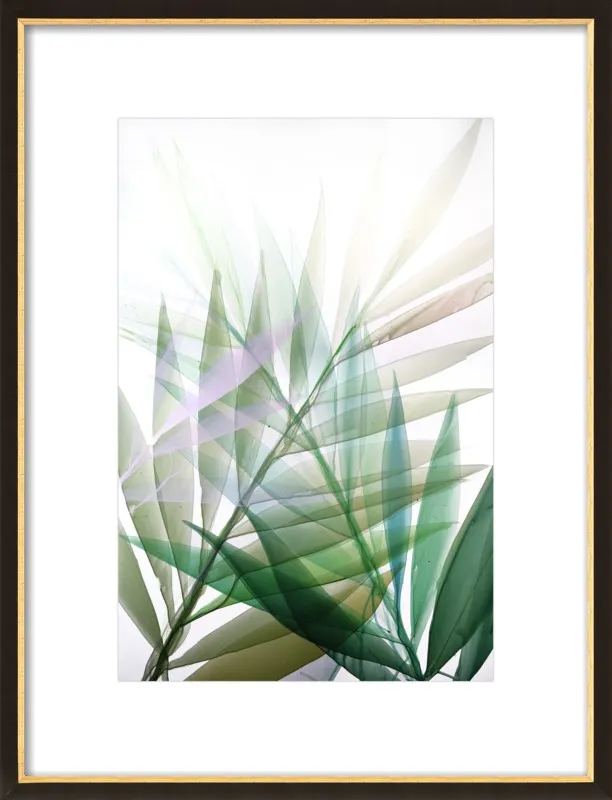 Tropical Study no. 8 by Marina Dunbar  for Artfully Walls