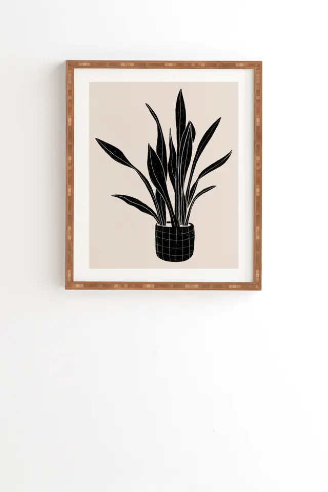Black And White Snake Plant by Alisa Galitsyna - Framed Wall Art Bamboo 20" x 20"