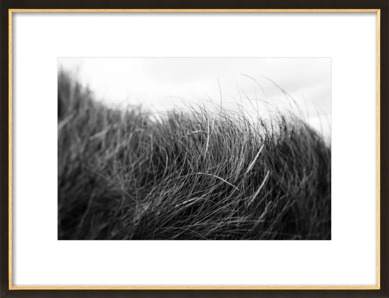 Beach Grass #3 by Alicia Bock for Artfully Walls