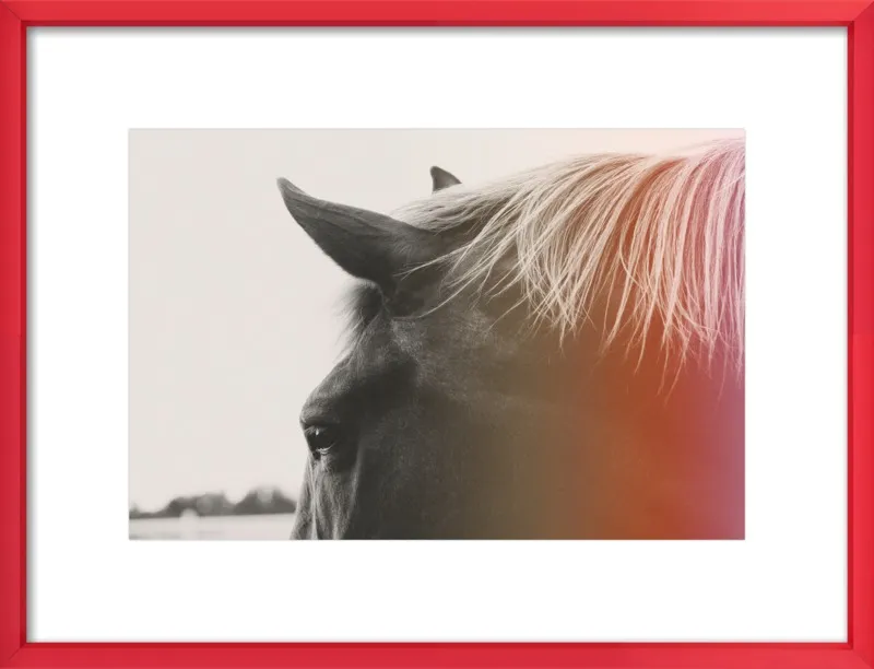 Pink Pony by Alicia Bock for Artfully Walls