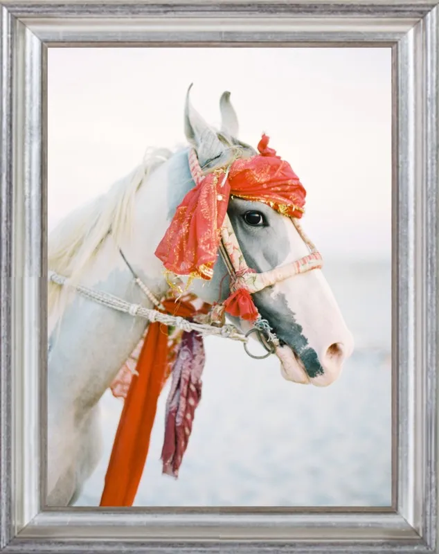 Marwari by Andrew Jacona for Artfully Walls