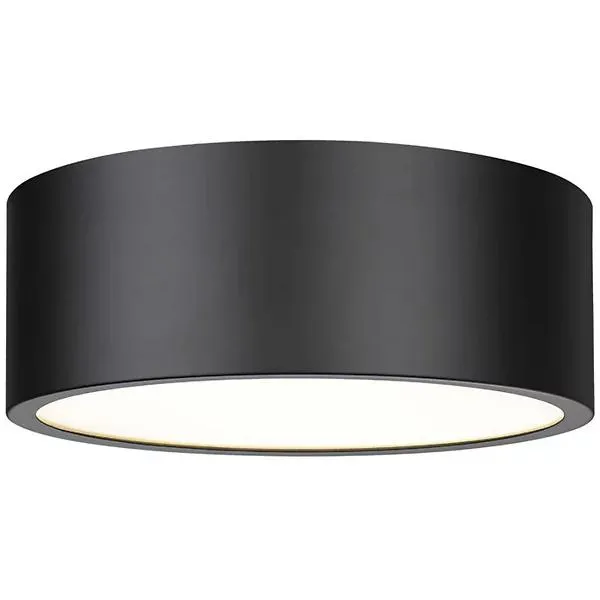 Hanes Flushmount