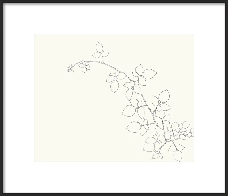 Blackberry  by Jorey Hurley for Artfully Walls