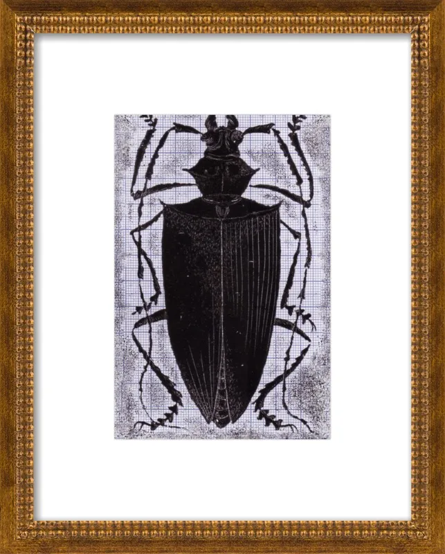 Black Beetle on Grey by Tennopent Sooster for Artfully Walls