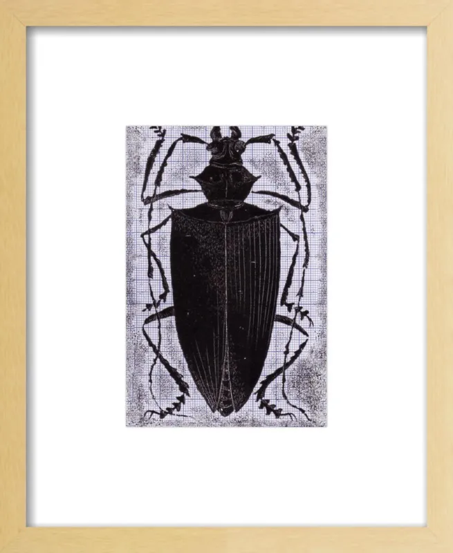 Black Beetle on Grey by Tennopent Sooster for Artfully Walls