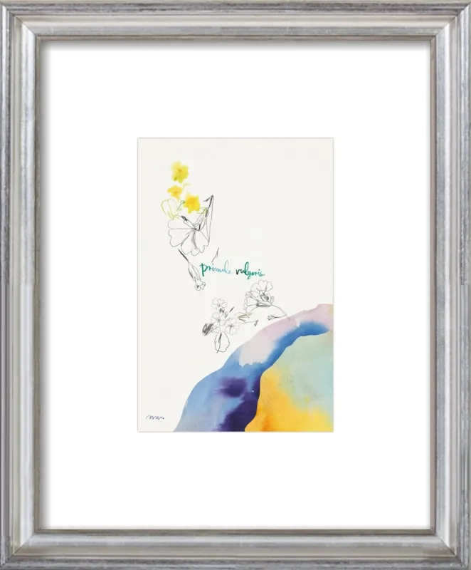 Primula Vulgaris by META WRABER for Artfully Walls