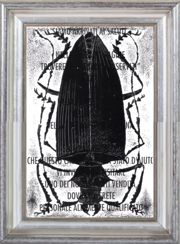 Black Beetle on Words by Tennopent Sooster for Artfully Walls