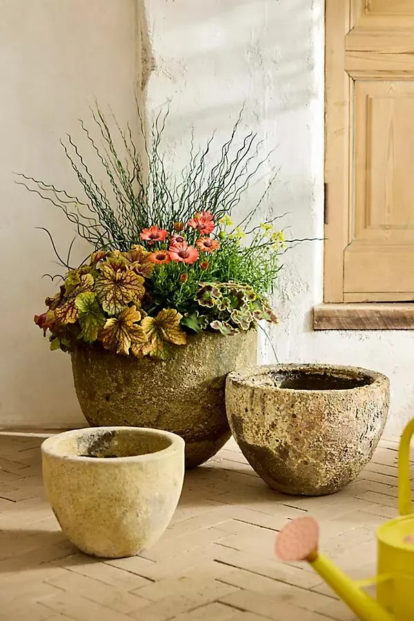 Barnacle Rounded Egg Planter