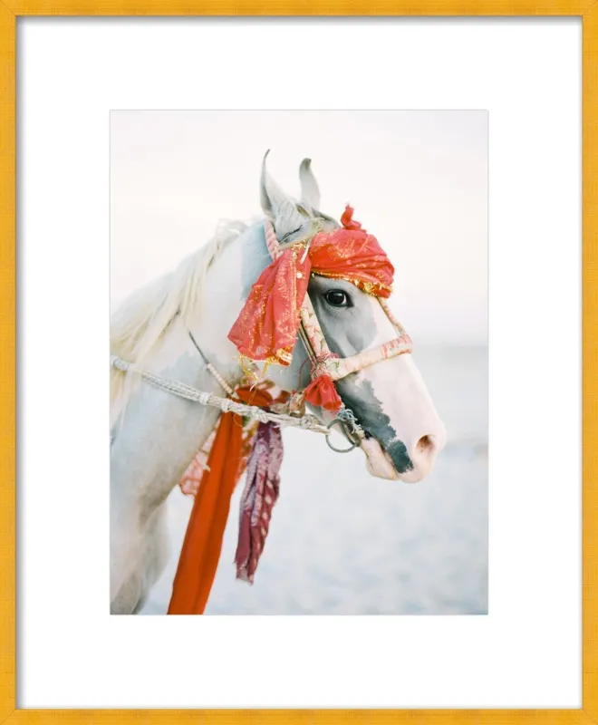 Marwari by Andrew Jacona for Artfully Walls