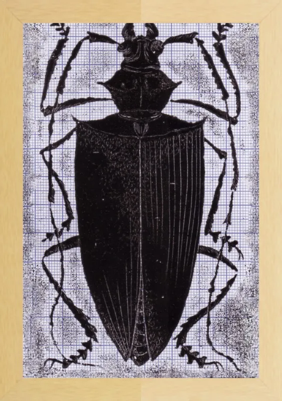 Black Beetle on Grey by Tennopent Sooster for Artfully Walls