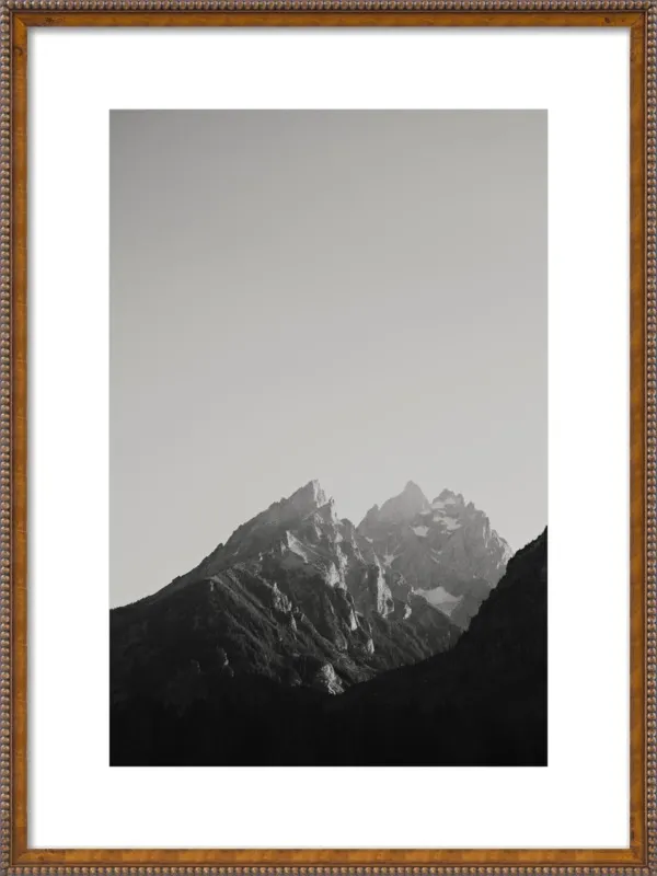 Chasing Light by Catherine McDonald for Artfully Walls