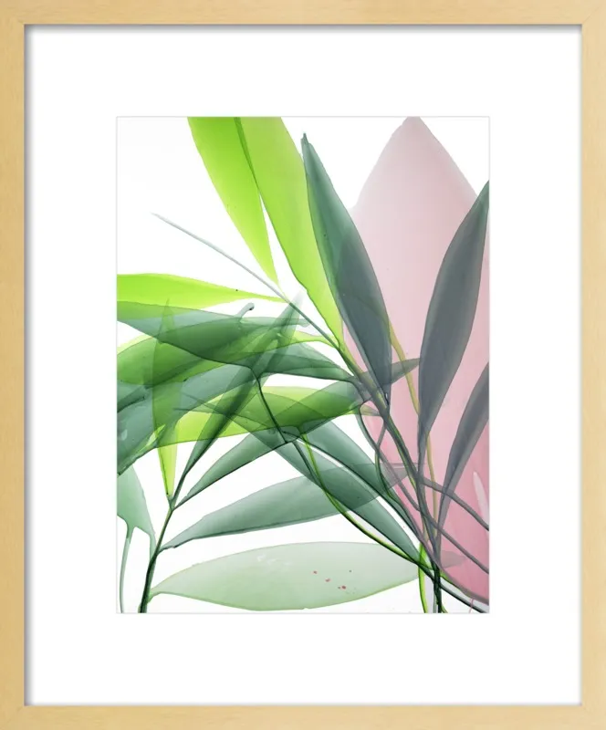 Tropical Study no. 15 by Marina Dunbar  for Artfully Walls