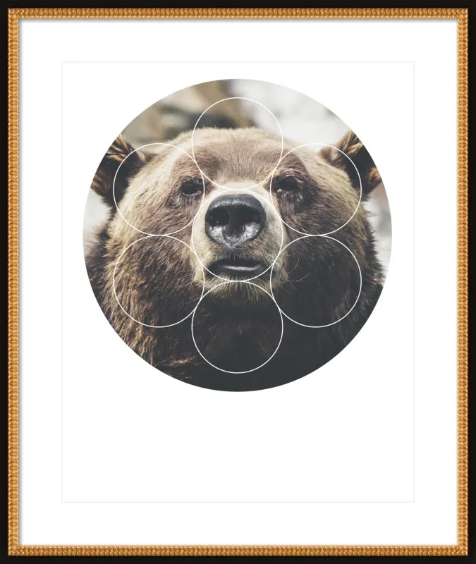Big Bear Buddy - Geometric Photography by Emiliano Deificus for Artfully Walls