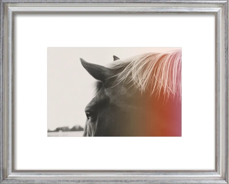 Pink Pony by Alicia Bock for Artfully Walls