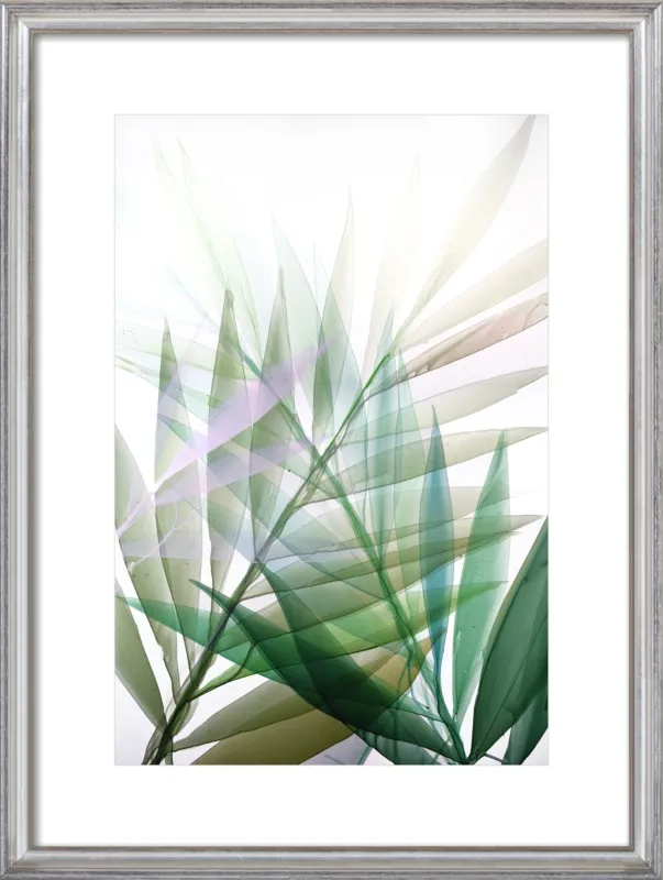 Tropical Study no. 8 by Marina Dunbar  for Artfully Walls