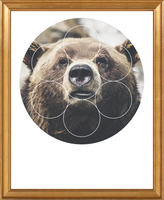 Big Bear Buddy - Geometric Photography by Emiliano Deificus for Artfully Walls